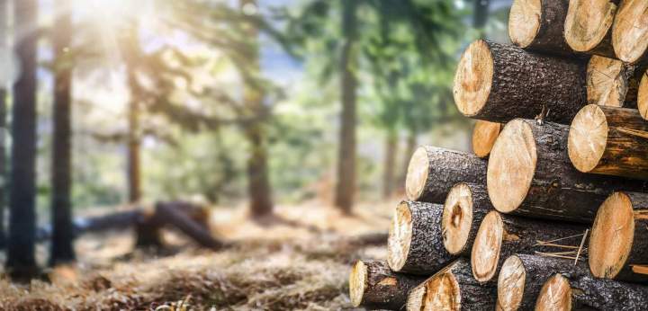 Un établissement vendant du bois de chauffage près de Dole