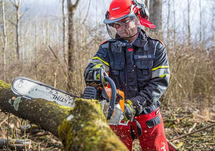 Abattage d'arbre Dole