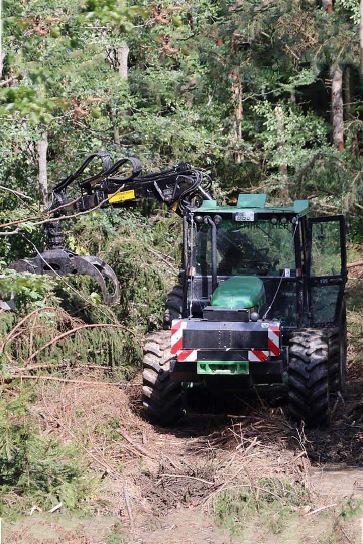 Des professionnels de l’abattage d'arbres à Dole